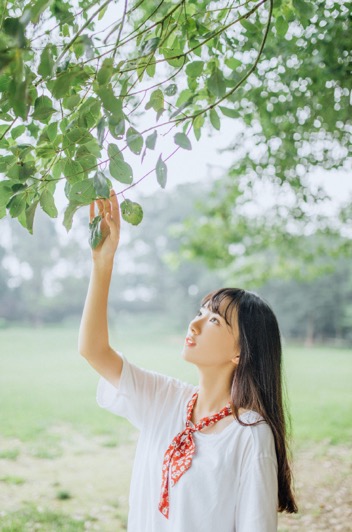 东成西就演员表